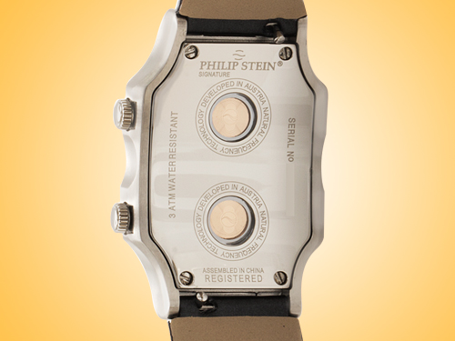 Philip stein serial number lookup 2025