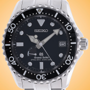 Grand Seiko Spring Drive Diver's Stainless Steel Men's Watch SBGA029